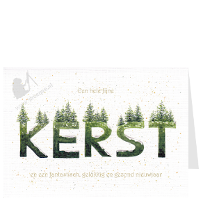 Kerstkaart oh denneboom kerst